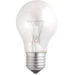 Лампа накаливания A55 240V 60W E27 clear (Б 230-60-5) JazzWay 3320461