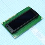 WEG010032BLPP5N00100, (OLED 2.44", графич, 100х32, жёлтый)