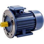 Electric Motor AIR 100L2 IM2081 5.5 kW/3000 rpm 13178