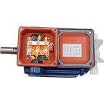 Electric Motor AIR 100L2 IM2081 5.5 kW/3000 rpm 13178