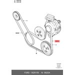 1829195, Комплект поликлиновых ремней (для авто с кондиционеромклиматом) FUSION ...