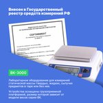 ВК-3000 - Весы лабораторные