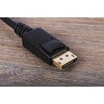 DP2HDMI2, DisplayPort to HDMI Adapter, 210mm Length - 1920 x 1200 Maximum Resolution