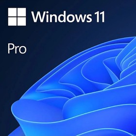 Фото 1/10 Программное обеспечение Microsoft Операционная система Windows 11 Professional 64-bit English Int 1pk DSP OEI DVD лицензия с COA и носителем