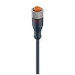 RKT 5-228/5 M, Cordset, M12 Socket - Bare End, 5 Conductors, 5m, IP67 / NEMA 6P ...