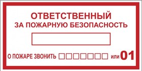 Фото 1/6 Наклейка "Ответственный за пожарную безопасность" B03 100х200мм PROxima EKF an-4-05