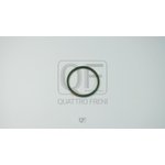 Кольцо уплотнительное патрубка интеркуллера QUATTRO FRENI QF76A00099