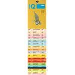 Бумага цветная IQ COLOR (А4,80г,CY39- канареечно-желтый) пачка 100л.