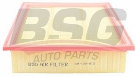 BSG60-135-012, Фильтр воздушный