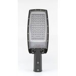 Уличный LED-светильник ДКУ 22-80-005 (5000К) "LIGHT" SGLM30000007017