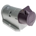 1825, IP44 Purple Wall Mount 2P Right Angle Socket, Rated At 16A, 20 → 25 V