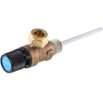 PTEM550753, Reliance 10bar Temperature and Pressure Relief Valve With Male BSP ...