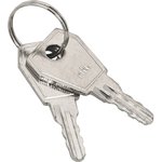 Ключ для пластикового замка к щрн (арт. lock-shrn-ip31) (10шт.) proxima key-4