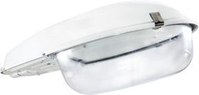 Светильник ЖКУ 06-150-002 под стекло TDM (стекло заказывается отдельно)
