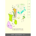 E4G151025070, Ролик