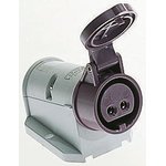 1832, IP44 Purple Wall Mount 3P Right Angle Socket, Rated At 16A, 20 → 25 V