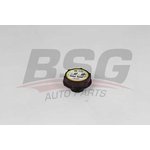 BSG 15-551-007, Крышка радиатора BMW FREELANDER 2 2.0-2.2 TD4 06-14