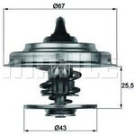 TX1879D, Термостат OPEL FRONTERA A(2.5D) 96-98, FORD SCORPIO II(2.5D) 94-98 ...