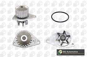 Фото 1/5 CP2424, Помпа водяная