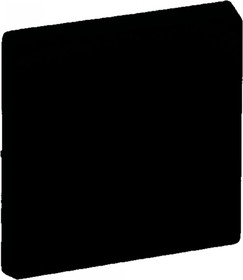 Фото 1/2 Legrand Valena LIFE Black. Лицевая панель для выключателя одноклавишного с подсветкой/индикацией. Антрацит.