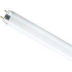 Osram Лампа люминесцентная L 18W/640 T8 G13