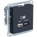 Розетка USB AtlasDesign тип A+C 45Вт QC PD высокоскор. ЗУ механизм карбон SE ...