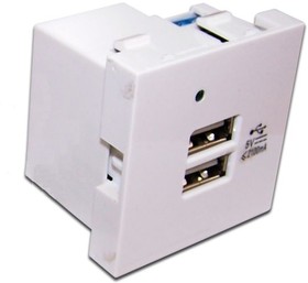 Фото 1/3 Модуль USB-зарядки, 2 порта, 45x45, белый LAN-EZ45x45-2U/R2-WH