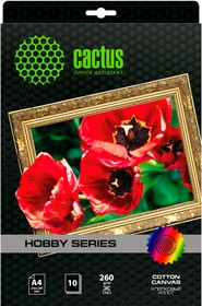 Фото 1/2 Холст Cactus CS-CA426010 A4/260г/м2/10л. для струйной печати