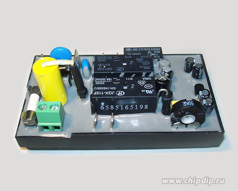 Сперматозоид қайдан келеді?