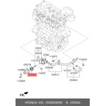 Термостатический регулируемый клапан системы охлаждения HYUNDAI/KIA 25500-03850