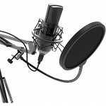 Микрофон Ritmix RDM-180 Black