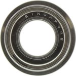 DDLF1910ZZRA5P24LY121 Double Row Deep Groove Ball Bearing- Both Sides Shielded ...