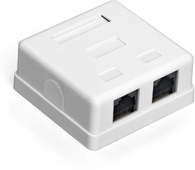 Розетка внешняя двойная SM2-RJ45-C5 RJ-45 кат.5 5E UTP Krone 110 292843 – купить оптом и в розницу