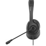Наушники с микрофоном A4Tech Fstyler FH100U черный 2м накладные USB оголовье ...
