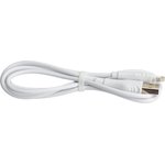 USB-кабель BOROFONE, AM-8pin Lightning 1 метр, 2A, ПВХ, белый 23752-BX18iW1