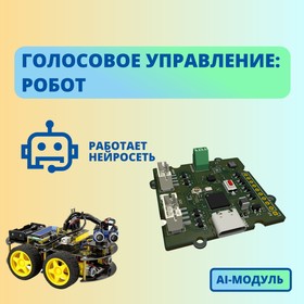 AI-модуль: голосовое управление роботом (русский язык), Семенова | купить в розницу и оптом