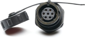 Circular Connector, 7 Contacts, Socket, Female, IP67