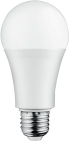 PEL00253, LED Light Bulb, Матовая GLS, E27 / ES, Холодный Белый, 4000 K, Шаговое Затемнение, 180°