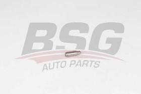 BSG 90-122-018, BSG 90-122-018_ гидрокомпенсатор!\ Audi A3/A4/A5/A6/A8/Q7/Allroad 1.6-5.2 04