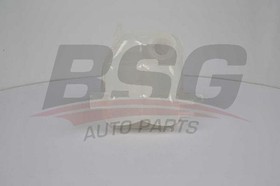 BSG30-550-003, Бачок расширительный