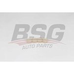 bsg30116152, BSG 30-116-152_шайба форсунки уплотнительная!Citroen Peugeot