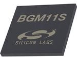 BGM11S12F256GA-V2R