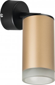 Lightstar Комплект со светильником Rullo Rullo Lightstar RB44030