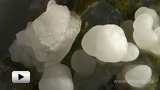 Смотреть видео: Научный опыт (Выращивание кристалла)