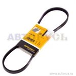 4PK855, Ремень поликлиновой AUDI \ BMW \ CITROEN \ FAW-AUDI \ FAW-VW \ FIAT \ ...