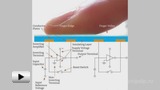Смотреть видео: Емкостной метод биометрической  идентификации по отпечаткам пальцев