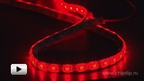 Смотреть видео: LS607 красная светодиодная лента 60 LED на метр