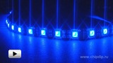 Смотреть видео: LS607 синяя светодиодная лента 30 LED на метр