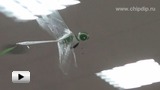 Смотреть видео: Радиоуправляемый Робот-стрекоза DragonFly