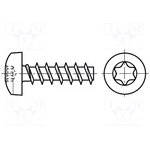 B3X25/BN84229, Винт; 3x25; Головка: цилиндрическая; Torx®; закаленная сталь